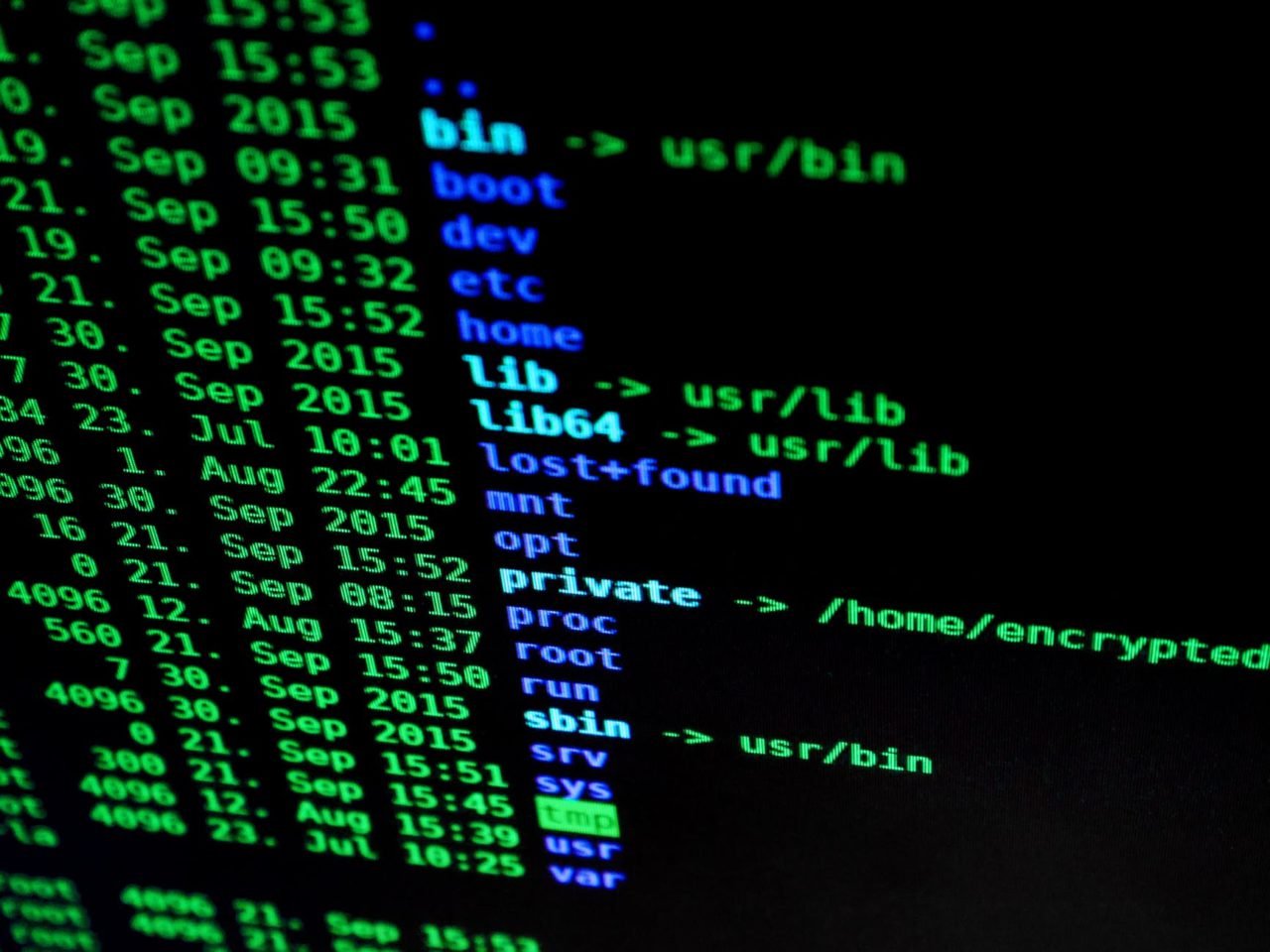 code printed on screen with green text