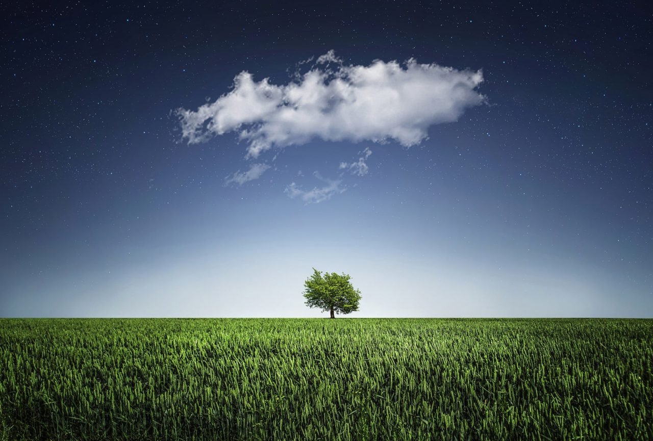 green field with a cloud in the sky