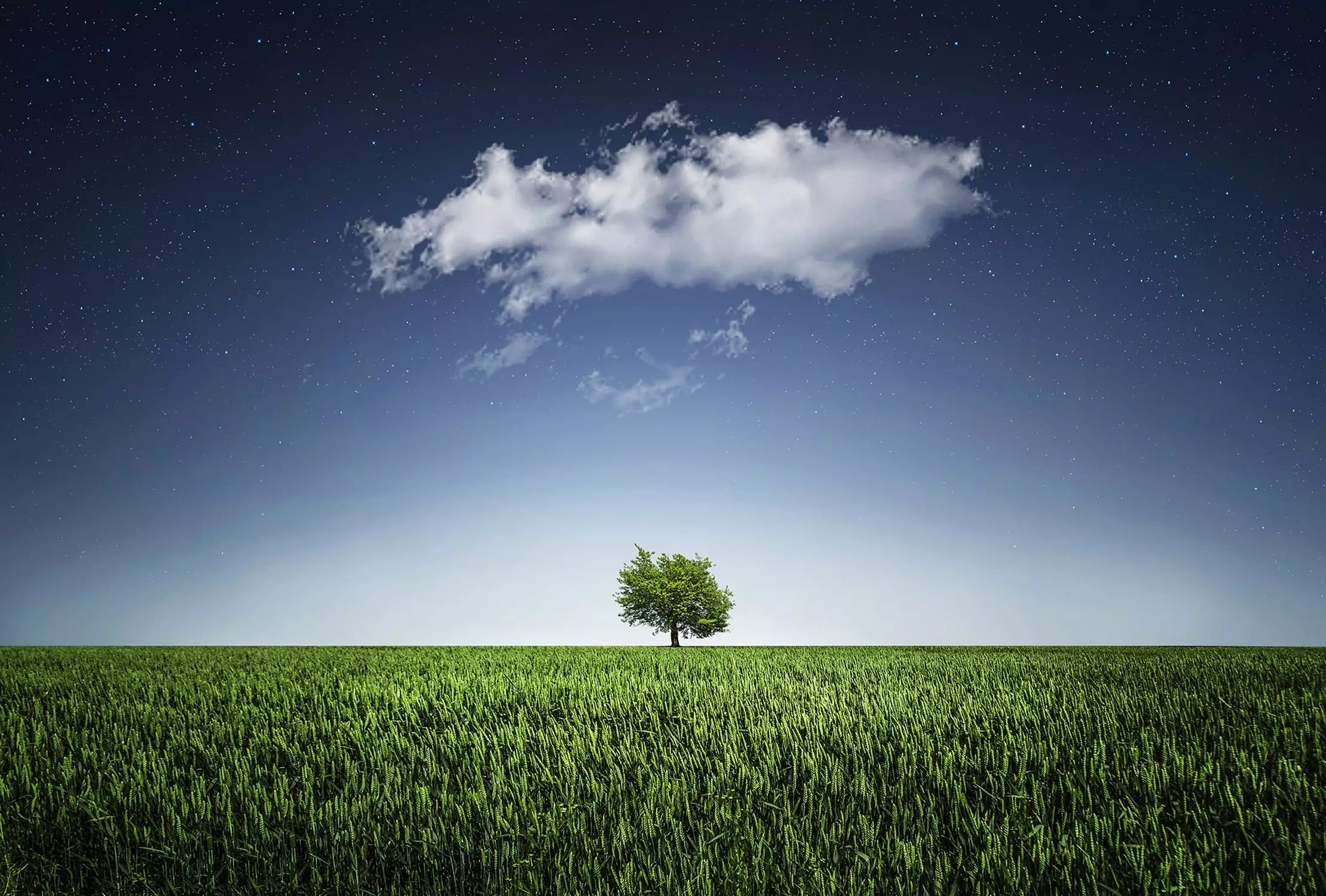 green field with a cloud in the sky